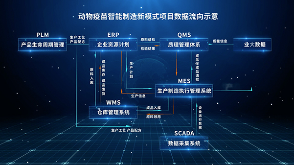 红姐统一图库大全免费
