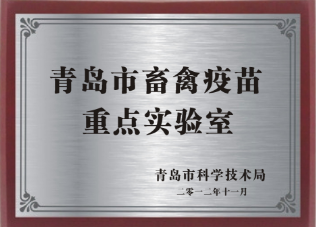 红姐统一图库大全免费