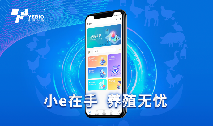 红姐统一图库大全免费