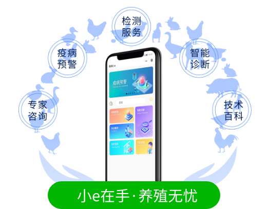 红姐统一图库大全免费