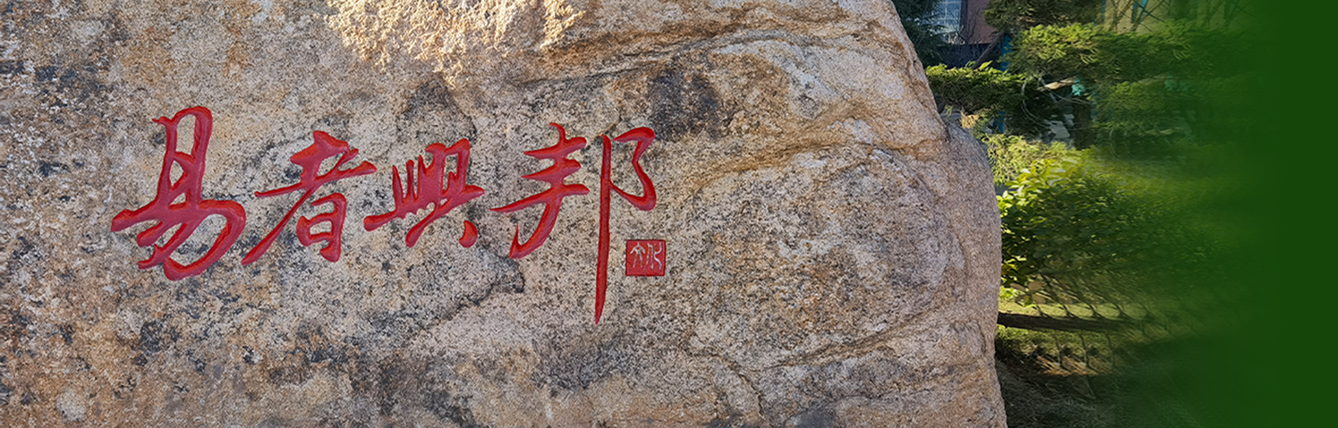 红姐统一图库大全免费