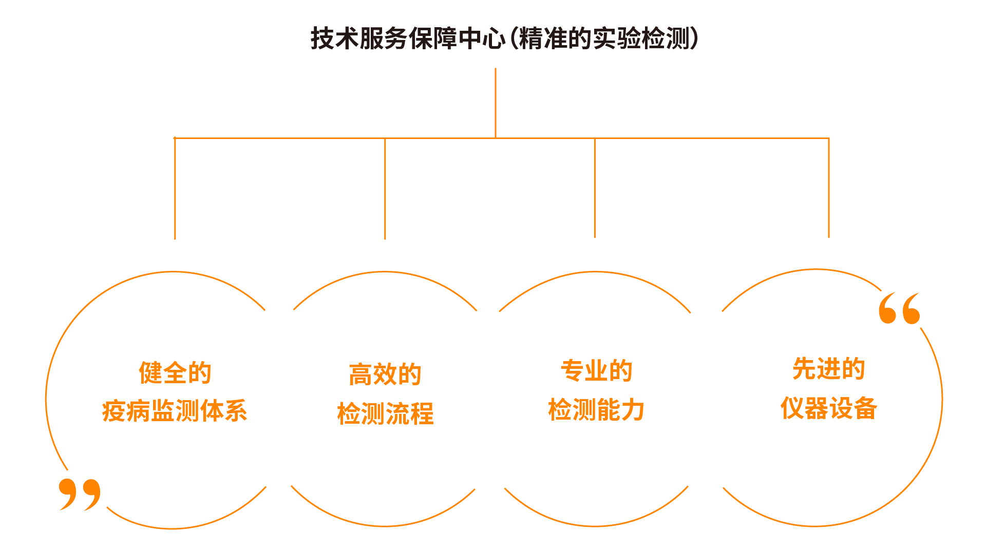 红姐统一图库大全免费