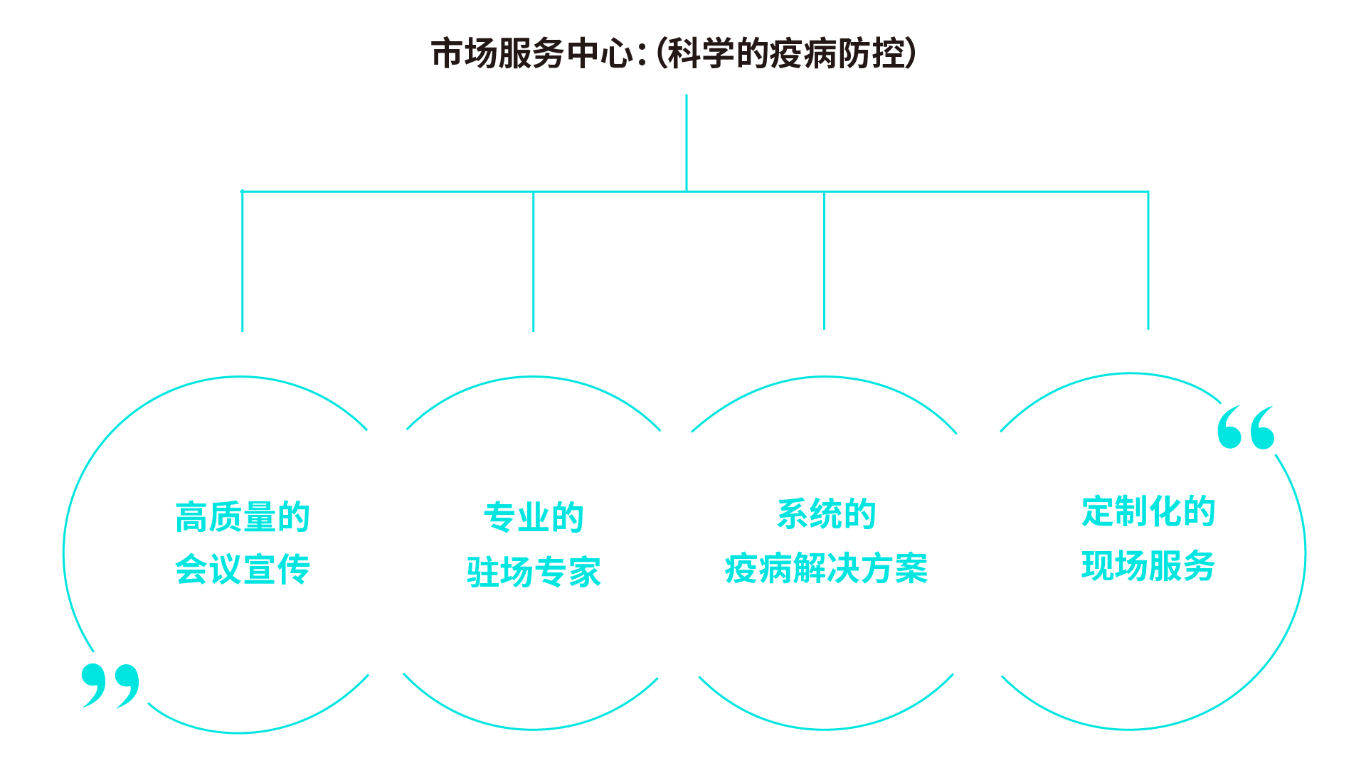 红姐统一图库大全免费