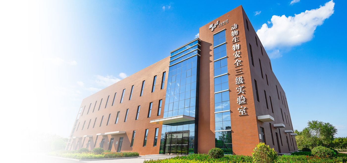 红姐统一图库大全免费